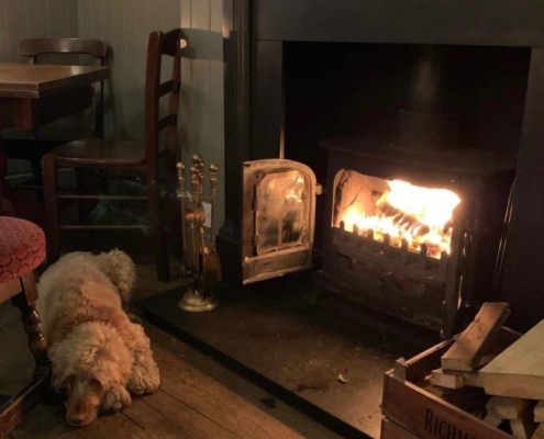 Pub Dogs - Why a Proper Pub Has a Dog