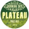 Plateau Pale Ale - American
